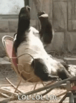 image.gif