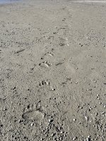 IMG_1053.jpg