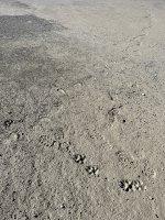 IMG_1052.jpg