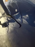 IMG_4506.jpeg