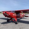 arborite
